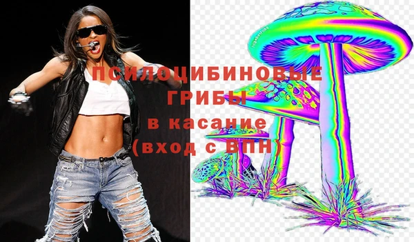спайс Арсеньев