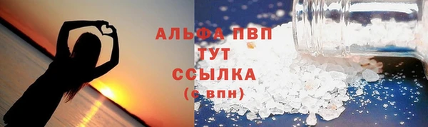 прущие грибы Баксан