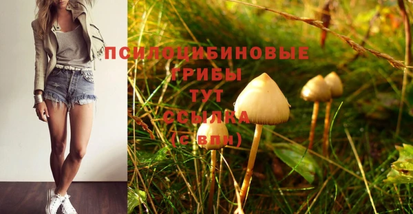 тгк Армянск