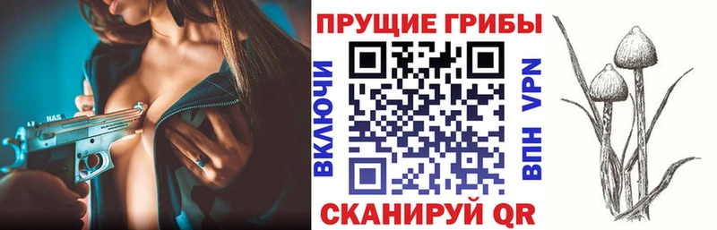 Галлюциногенные грибы прущие грибы  Сенгилей 